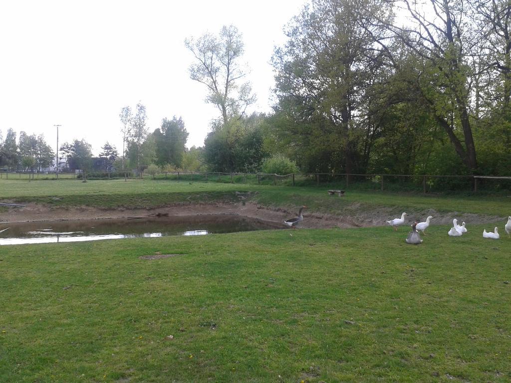 Chata Zahrada Madeta Veselí nad Lužnicí Esterno foto