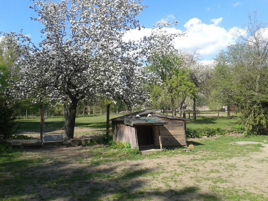 Chata Zahrada Madeta Veselí nad Lužnicí Esterno foto