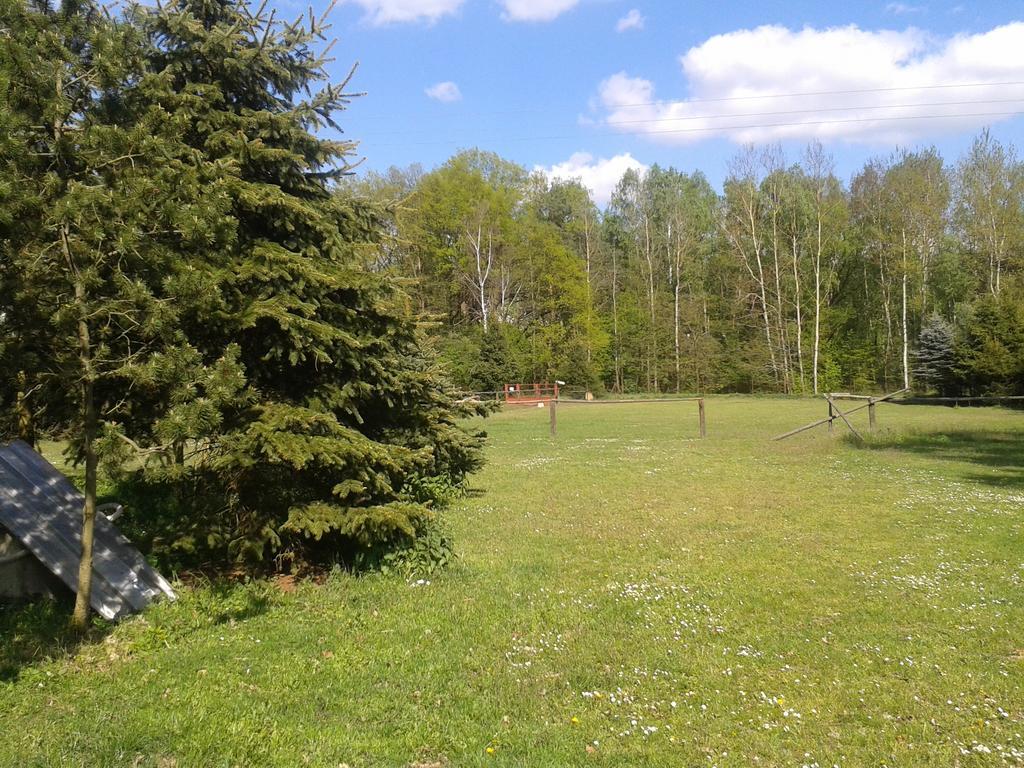 Chata Zahrada Madeta Veselí nad Lužnicí Esterno foto