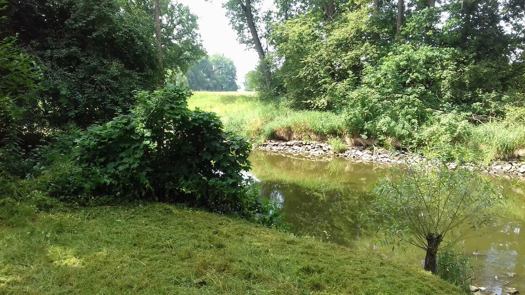 Chata Zahrada Madeta Veselí nad Lužnicí Esterno foto
