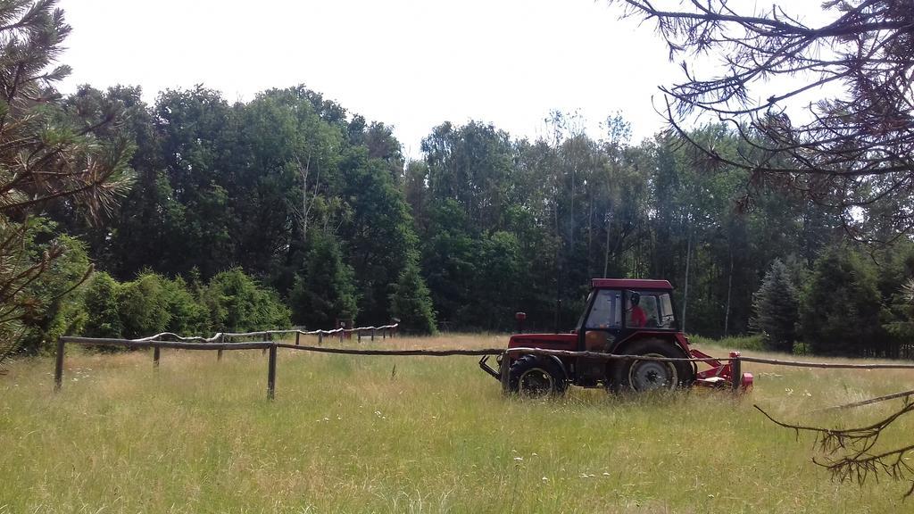 Chata Zahrada Madeta Veselí nad Lužnicí Esterno foto