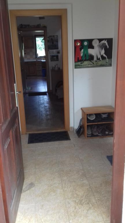 Chata Zahrada Madeta Veselí nad Lužnicí Esterno foto